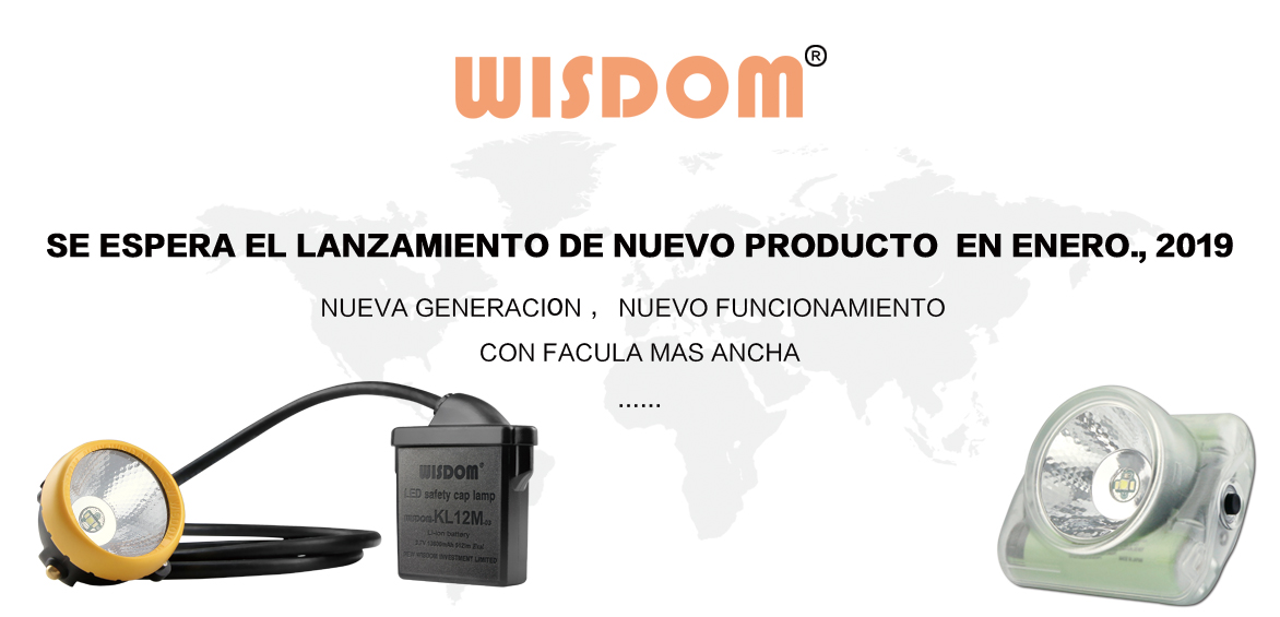 WISDOM new product will be release in Demcenber