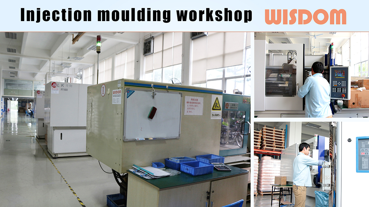 WISDOM injection moulding workshop
