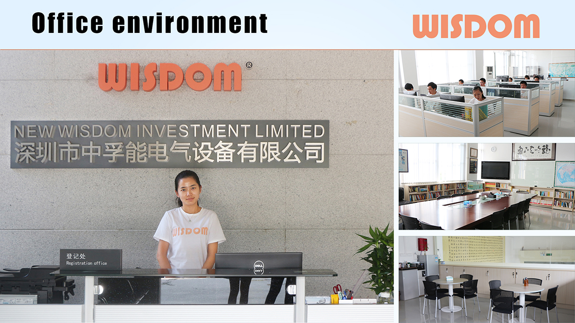 WISDOM office environment