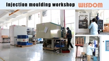 WISDOM Diapositiva: Injection Moulding Workshop