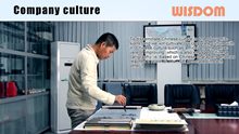 WISDOM Diapositiva: Company Culture